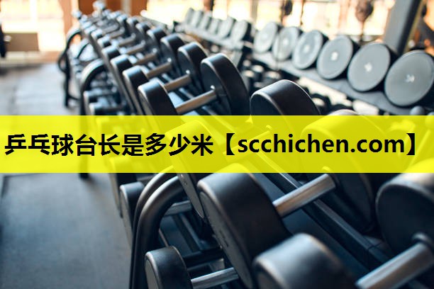 乒乓球台长是多少米