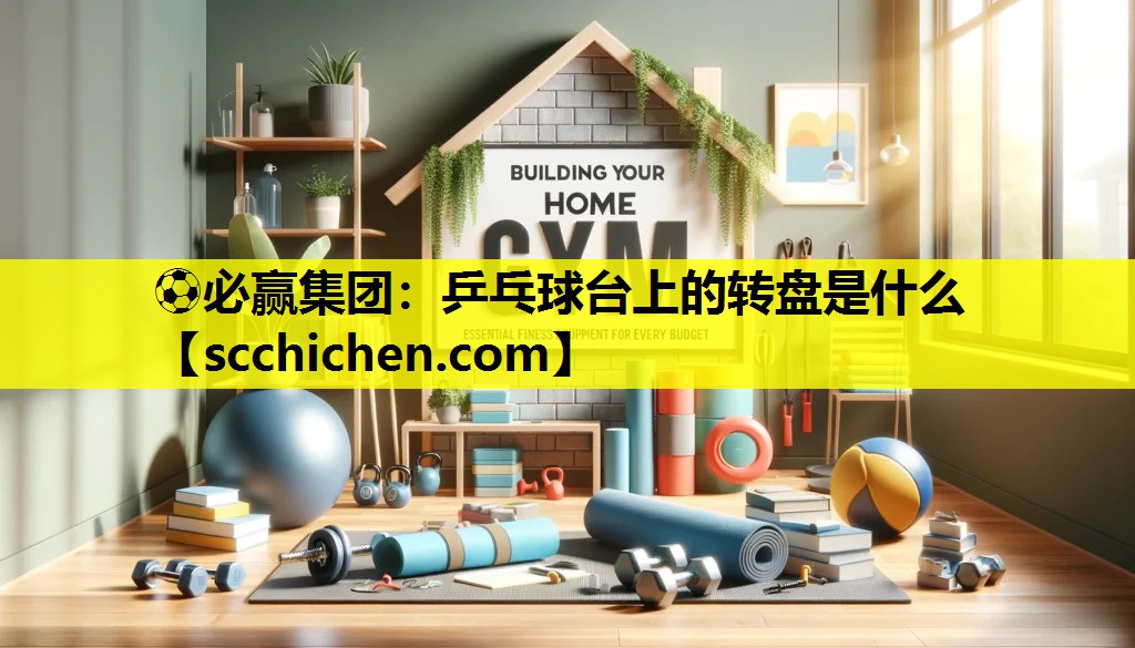 ⚽必赢集团：乒乓球台上的转盘是什么