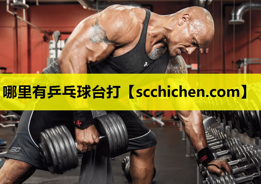 哪里有乒乓球台打