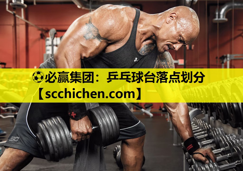 ⚽必赢集团：乒乓球台落点划分