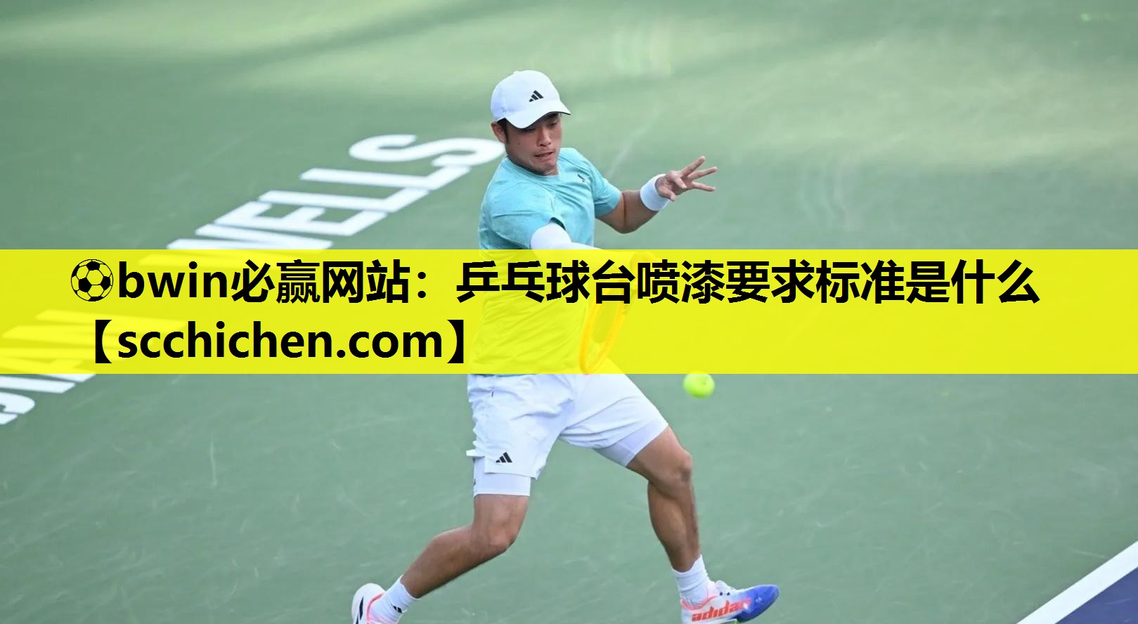⚽bwin必赢网站：乒乓球台喷漆要求标准是什么