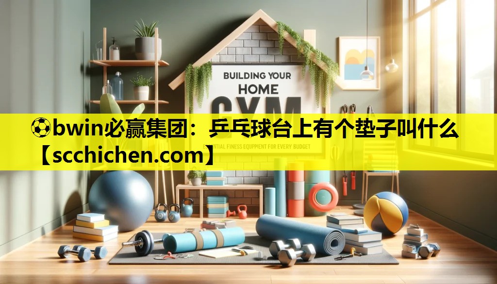 ⚽bwin必赢集团：乒乓球台上有个垫子叫什么