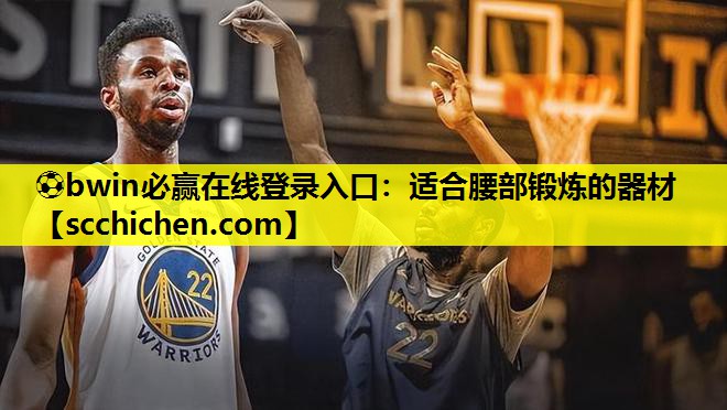 ⚽bwin必赢在线登录入口：适合腰部锻炼的器材