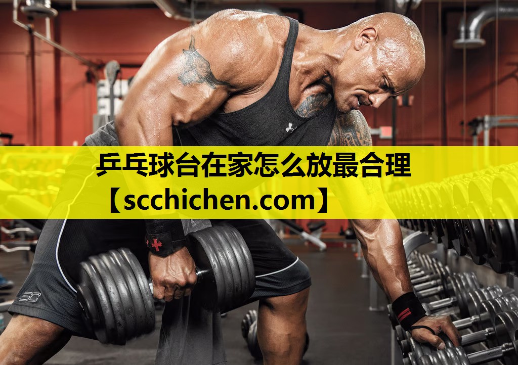 乒乓球台在家怎么放最合理