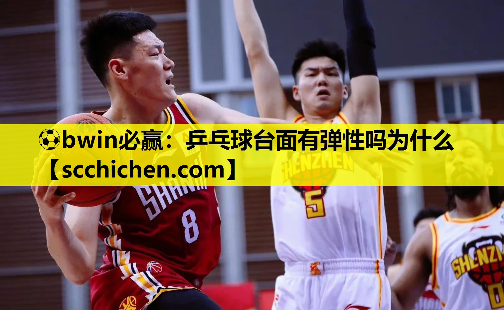 ⚽bwin必赢：乒乓球台面有弹性吗为什么