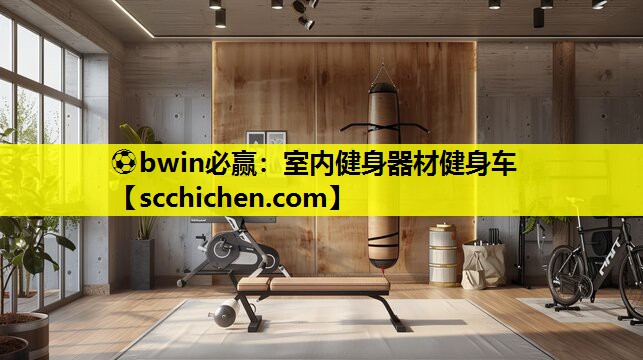 ⚽bwin必赢：室内健身器材健身车