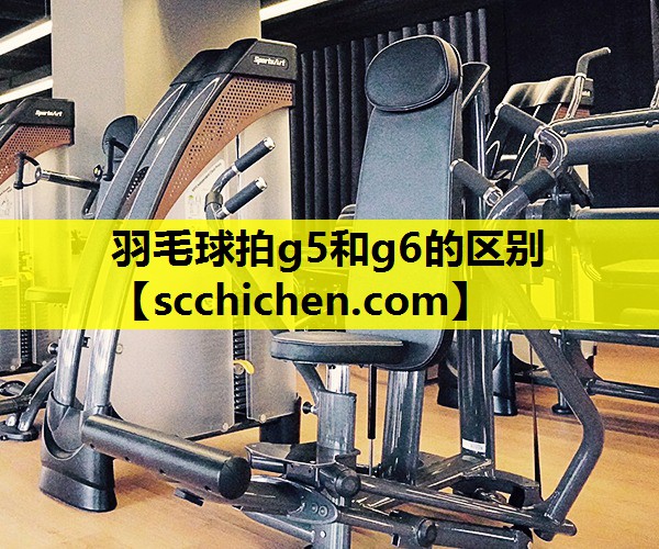 羽毛球拍g5和g6的区别