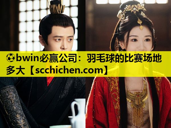 ⚽bwin必赢公司：羽毛球的比赛场地多大