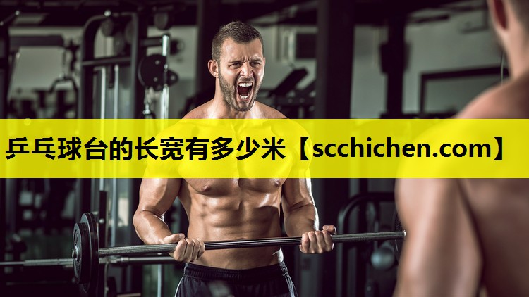 乒乓球台的长宽有多少米