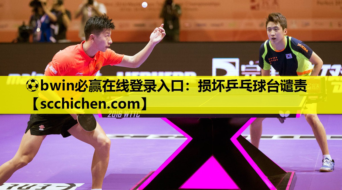 损坏乒乓球台谴责