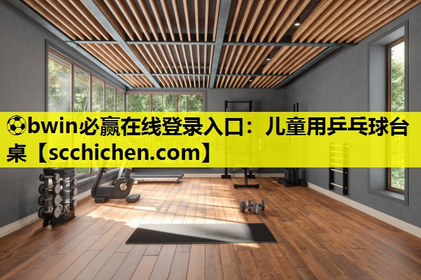 儿童用乒乓球台桌
