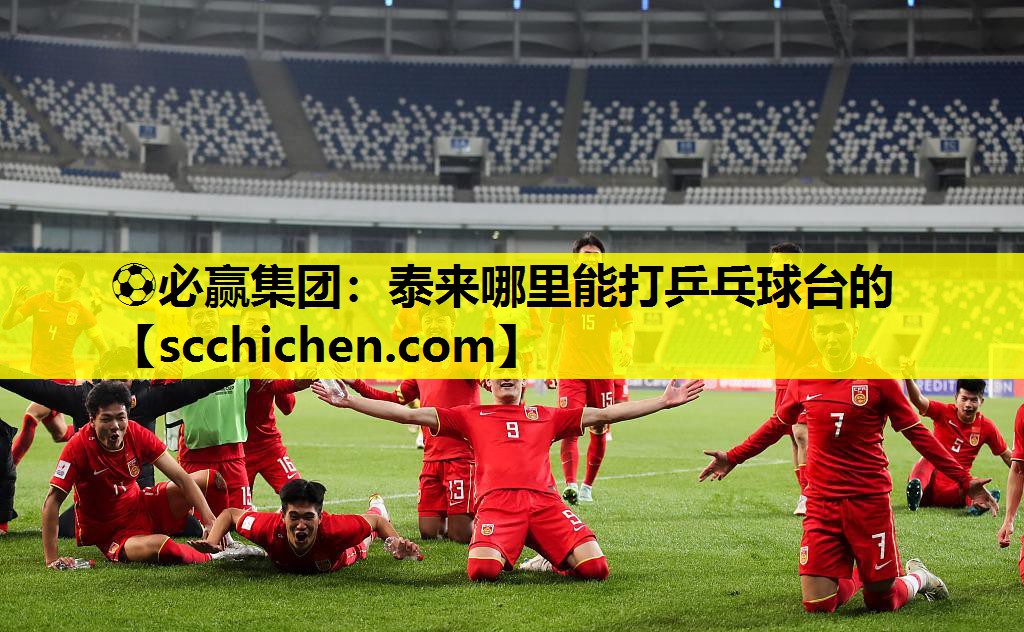 泰来哪里能打乒乓球台的