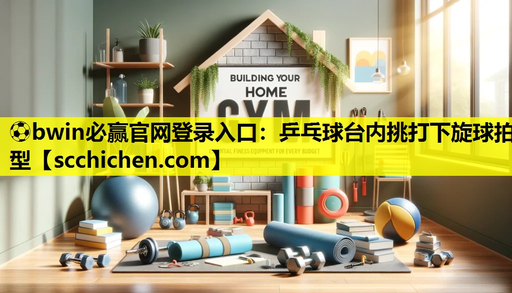 乒乓球台内挑打下旋球拍型