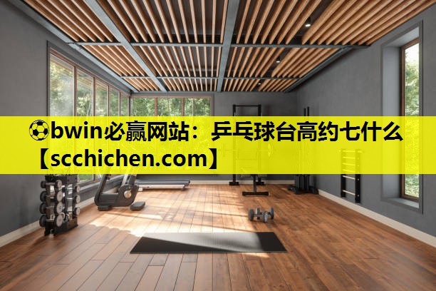 乒乓球台高约七什么