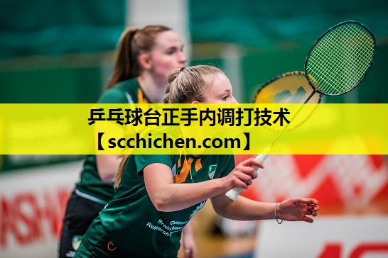 乒乓球台正手内调打技术