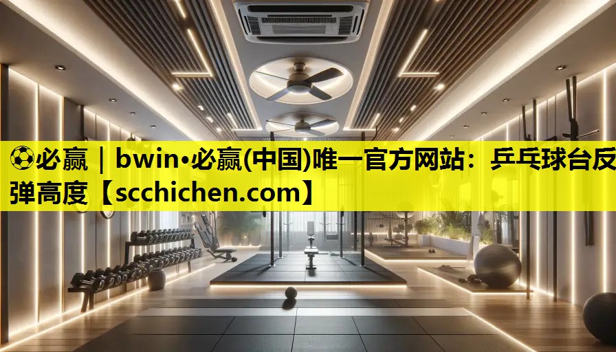 乒乓球台反弹高度