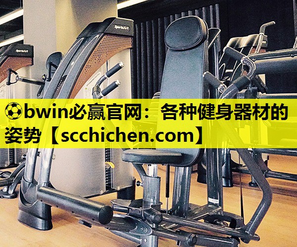 各种健身器材的姿势