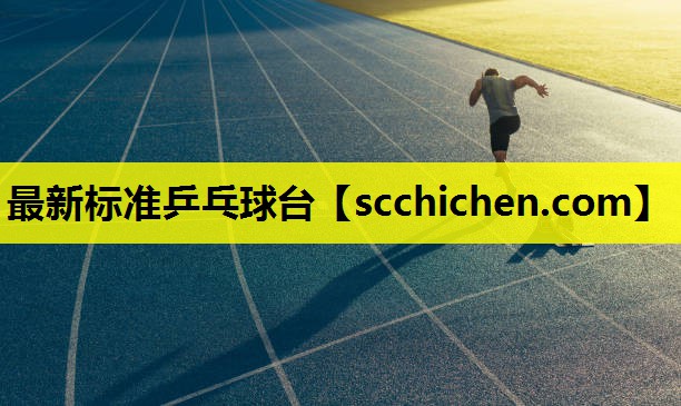 最新标准乒乓球台