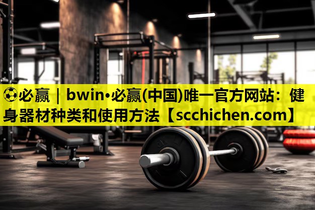 健身器材种类和使用方法