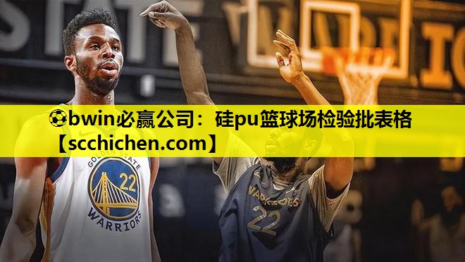 硅pu篮球场检验批表格