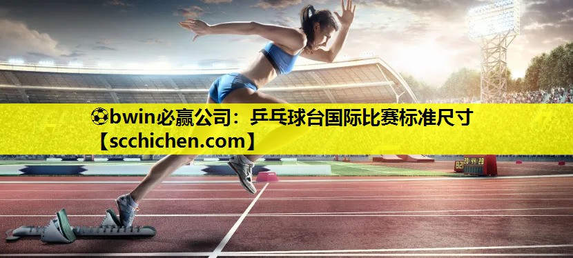 乒乓球台国际比赛标准尺寸