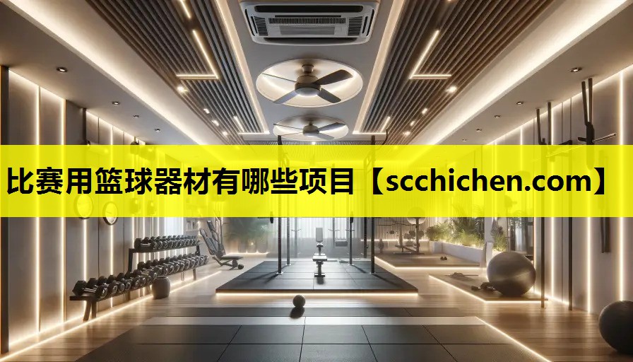 比赛用篮球器材有哪些项目