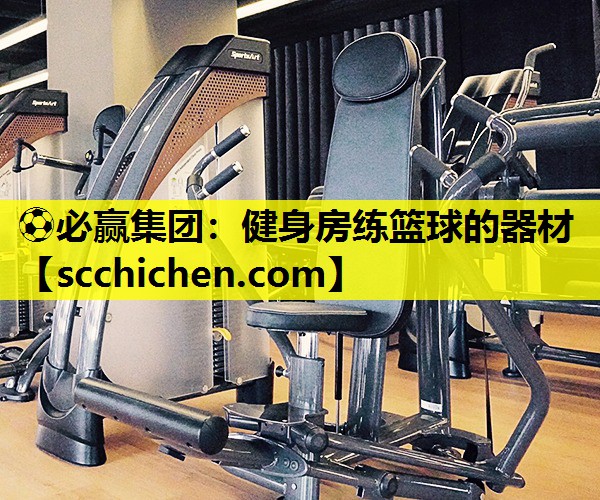健身房练篮球的器材