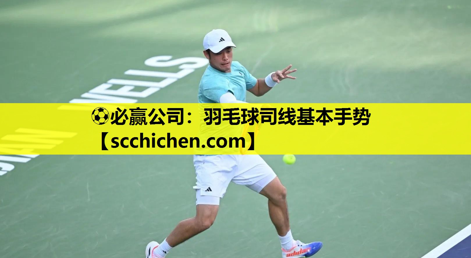 羽毛球司线基本手势
