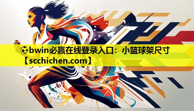 小篮球架尺寸