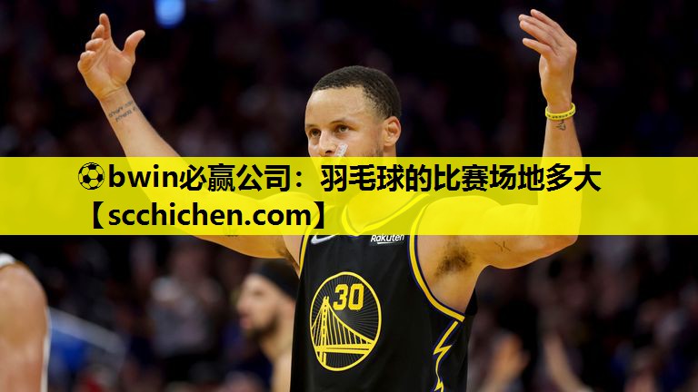 羽毛球的比赛场地多大