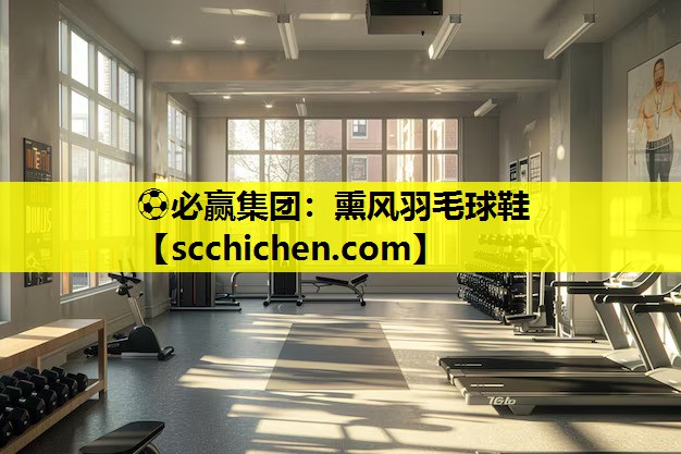 熏风羽毛球鞋