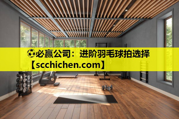 进阶羽毛球拍选择